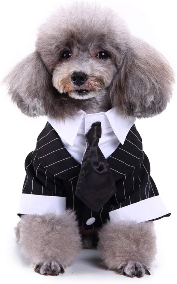 GabeFish Pets Wedding Jackets Suit for Dogs with Bow Tie Puppy Cat Formal Clothes Shirt Tuxedo (Striped, S (Chest 12.9in/33cm)