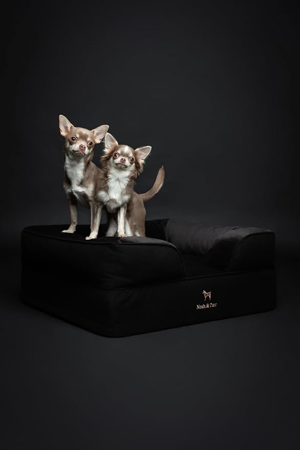 NOAH & PAW Dog Bed, 28x23x11 Inch, Orthopedic Dog Beds for Medium Size Pets, Eggshell Memory Foam Infused with Cooling Gel, Inner Cover, Water Resistant, Machine Washable (Denim Sofa Collection)