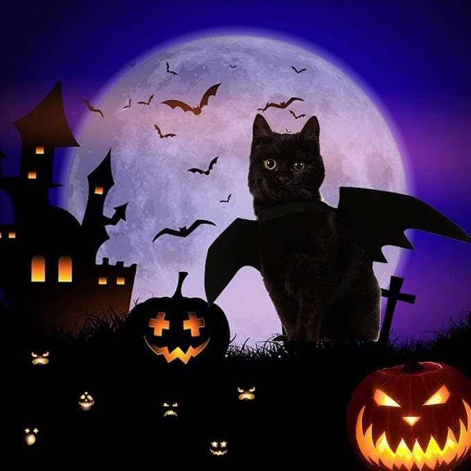 Cat Halloween Costume Bat Wing Pet Apparel for Small Dog Puppy Kitty Kitten | Halloween Cat Costumes Accessories Halloween Party Dress for Cat Small Dogs Puppy Kitty Kitten Boy or Girl
