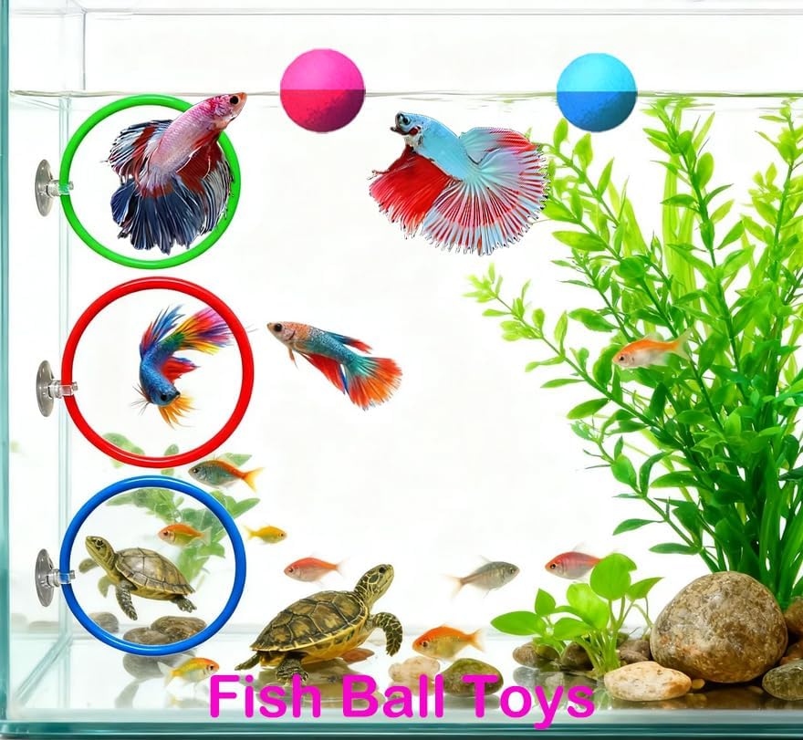 11pcs Betta Fish Enrichment Toys Fish Hideout Betta Hoop Exercise Rings Floating Mirror Balls Tank Feeding Rings Training Ring Feeder Hammock Acrylic Tube Breeding Aquarium Decor Accessory