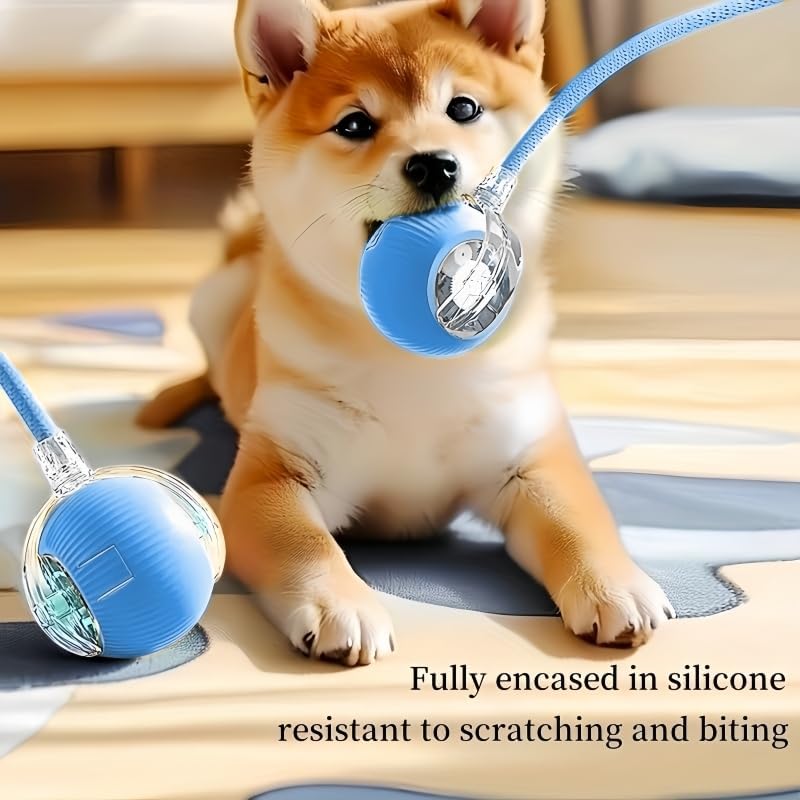 Nicoybore pet toy ball, USB charging, automatic standby, made of durable materials, providing interactive entertainment for cats and dogs. Luminous sphere attracts pets to chase after (1, blue)
