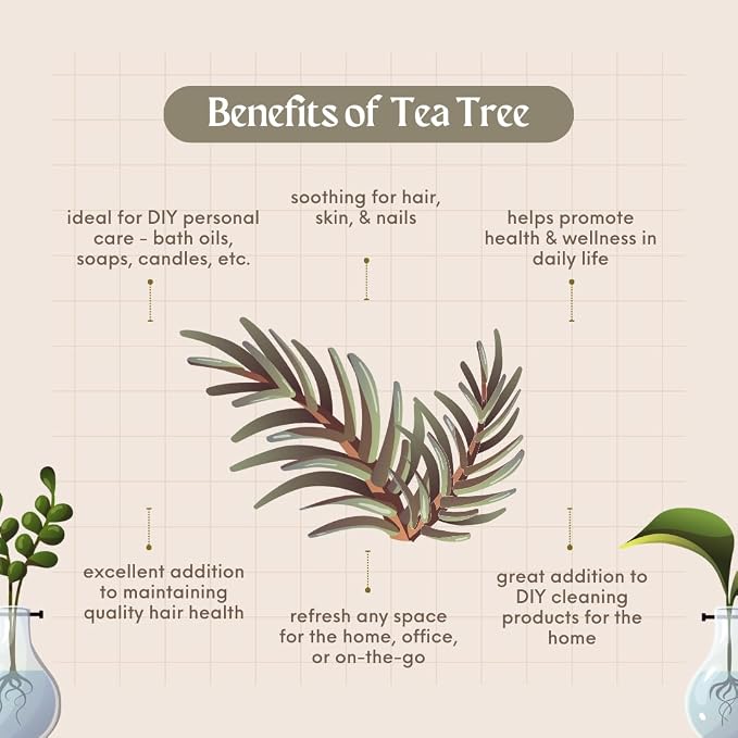 Tea Tree Essential Oil – 8 fl oz (237 ml) Aluminum Bottle w/Plug Cap – 100% Pure Essential Oil, Uncut – GreenHealth