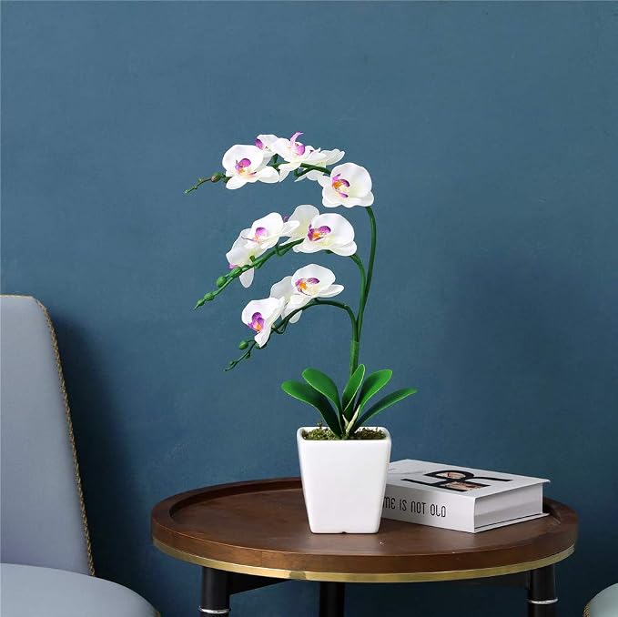 15" Silk Phalaenopsis Orchid in Square Pot, White Flower Plant Arrangements | Lifelike Faux Potted Blooms with Moss in a Ceramic Planter. Looks Real, Zero Upkeep, Ideal Centerpiece for Any Table