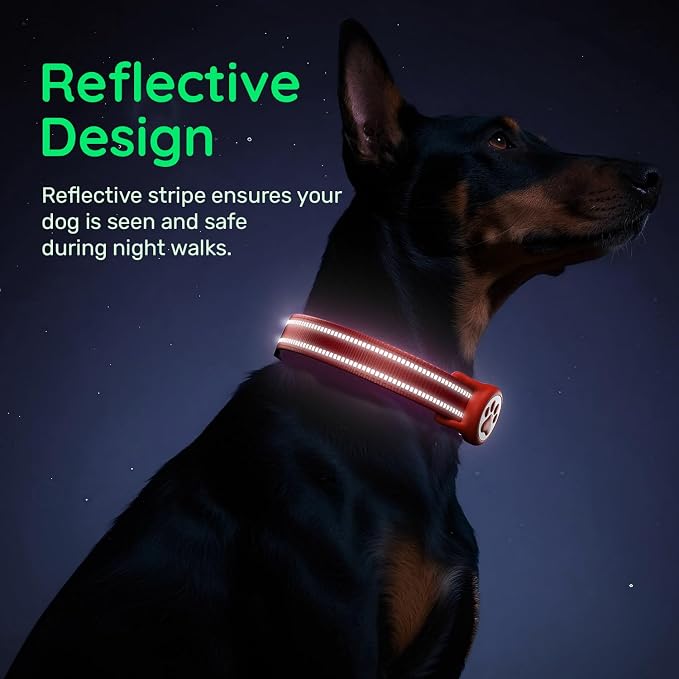 Premium Airtag Dog Collar，with IP68 Waterproof AirTag Holder,Red,M | Soft,Breathable,Nylon Padded,Reflective,Ultra-Durable Buckle,Adjustable,Comfortable for Small Medium Large Dogs