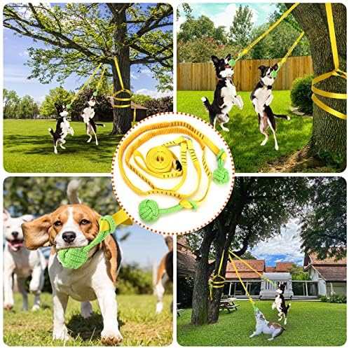 Dog Hanging Bungee Tug Toy for Two Dogs: Interactive Tether Tug-of-War for Pitbull Small to Large Dogs to Exercise - Durable Retractable Tugger Dog Rope Toy with 2 Chew Rope Toys