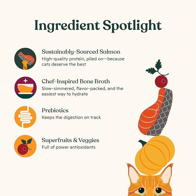 Made by Nacho Dry Cat Kibble 11lb Bag, High Protein and Grain-Friendly Premium Cat Food, Sustainably Caught Salmon and Pumpkin, Infused with Bone Broth for Hydration, Limited Ingredients, Single Bag | Protein-forward dry cat food with premium ingredien...