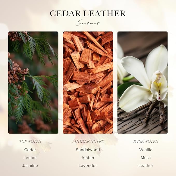 Scentiment Diffuser Oil - Cedar Leather Fall Collection | Aromatherapy Home Fragrance | Luxurious Scent with Lemon, Jasmine Sandalwood, Amber, Lavender, Vanilla, & Musk (50ml)