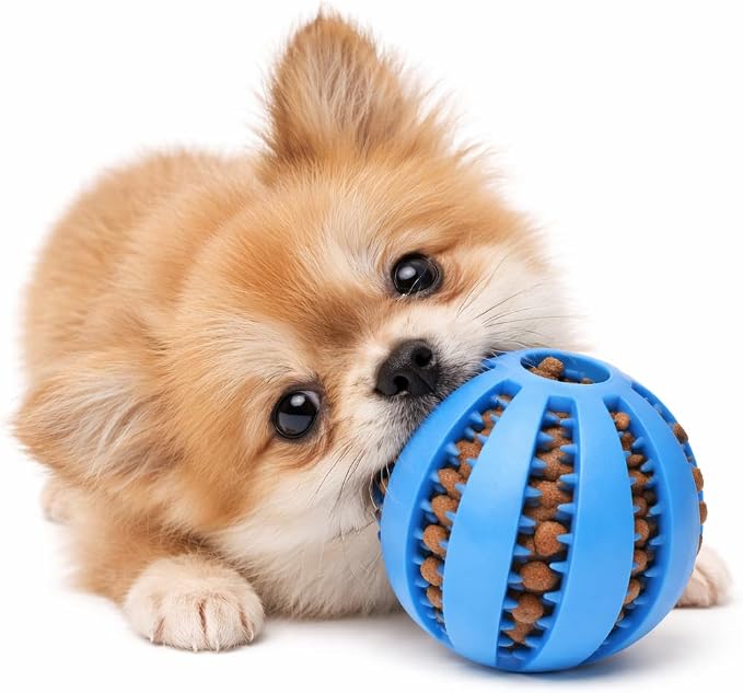Dog Treat Ball for Small Dogs – Interactive Chew Toy, Teeth Cleaning & Mental Stimulation, Durable Rubber Treat Dispensing Toy