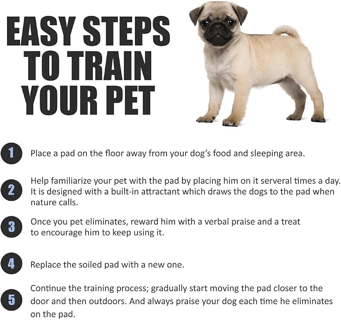 BV Puppy Pads XL 320 Count 34"x28" - Leak-Proof Pee Pads for Dogs with 6-Layer Design, Rapid Dry Sheet & Attractant - Dog Pad Extra Large with Odor Control - Perfect for Big Dogs & Indoor Use