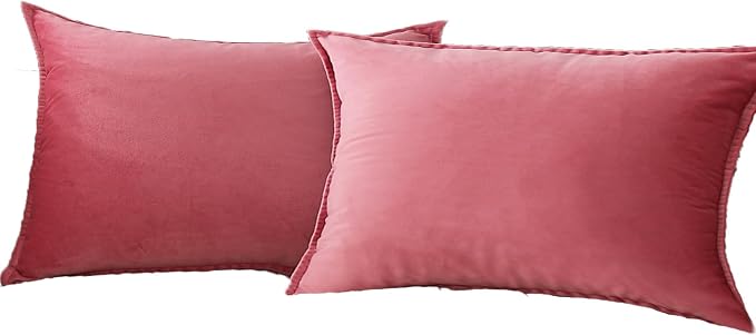 JIAHANNHA Velvet Pink Throw Pillow Covers 12”x20”Pack of 2 Soft Decorative | Square Cushion Covers for Couch Sofa Bed Livingroom Car Home Decor,30x50Cm