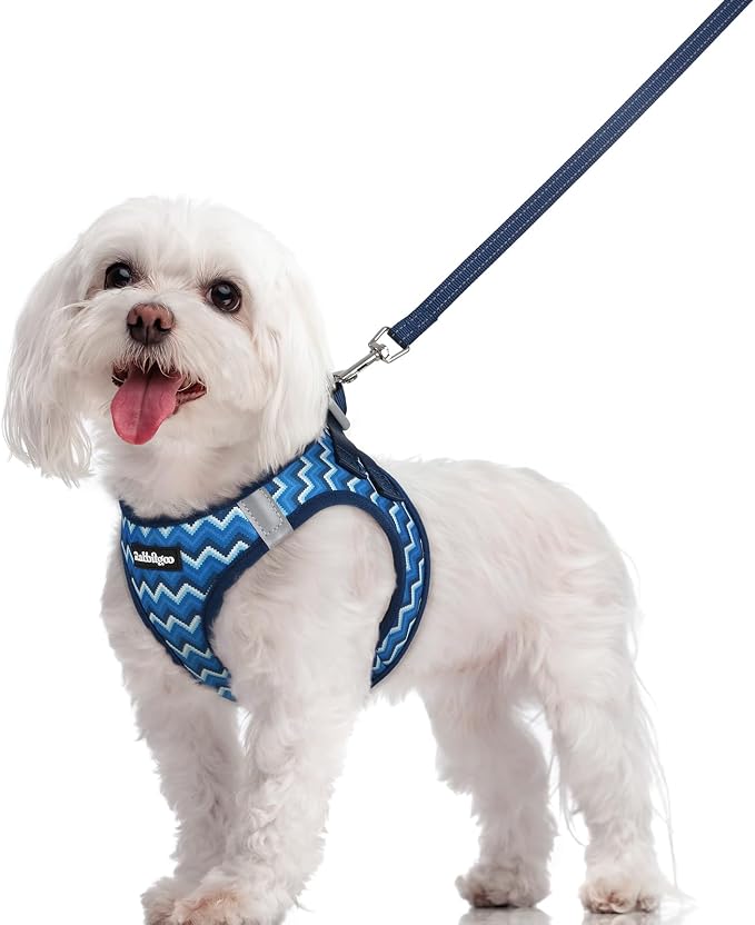rabbitgoo Dog Harness Small Sized and Leash Set, Step-in Puppy Pet Vest | Light, Soft, Breathable Air Mesh, Easy on and Remove with Hook & Loop, Secure Reflective for Walking, Blue Zigzag M