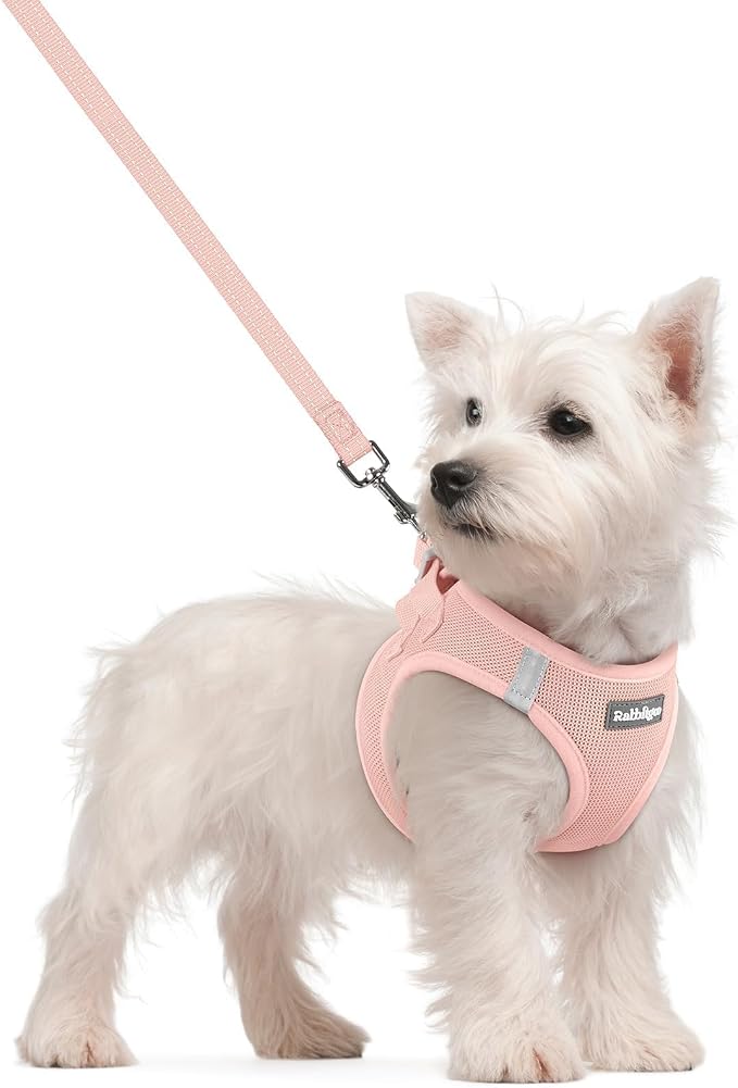 rabbitgoo Dog Harness Small Sized and Leash Set, Step-in Puppy Pet Vest | Light, Soft, Breathable Air Mesh, Easy on and Remove with Hook & Loop, Secure Reflective for Walking, Pink S