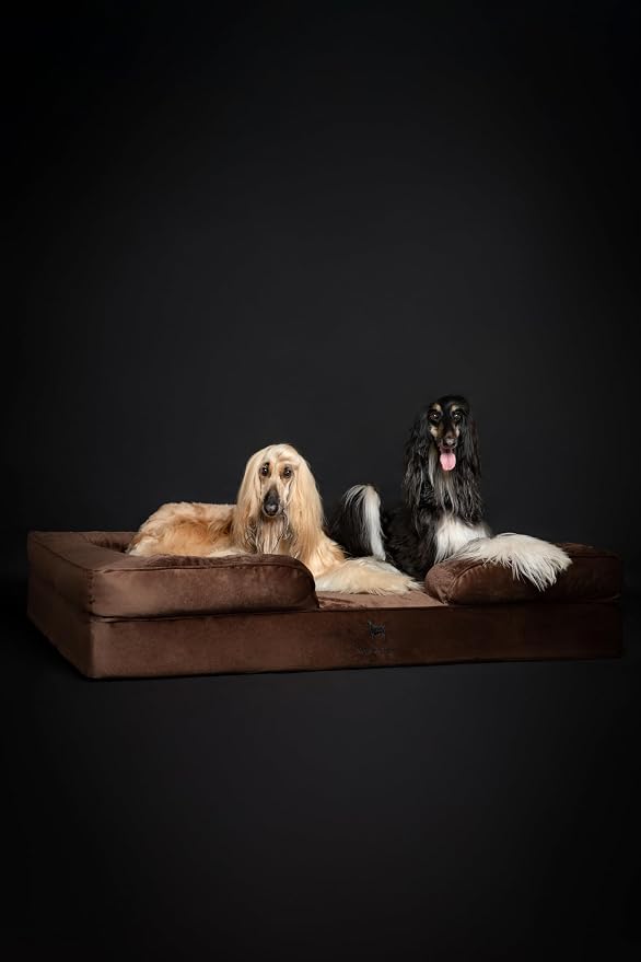 NOAH & PAW Giant Dog Bed XXL, 55x45x11 Inch, Orthopedic Dog Beds, Eggshell Memory Foam Infused with Cooling Gel, Inner Cover, Water Resistant, Machine Washable (Velvet Sofa Collection)