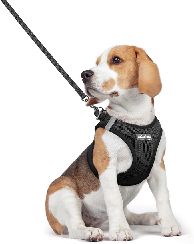 rabbitgoo Dog Harness Medium Sized and Leash Set, Step-in Puppy Pet Vest | Light, Soft, Breathable Air Mesh, Easy on and Remove with Hook & Loop, Secure Reflective for Walking, Black L