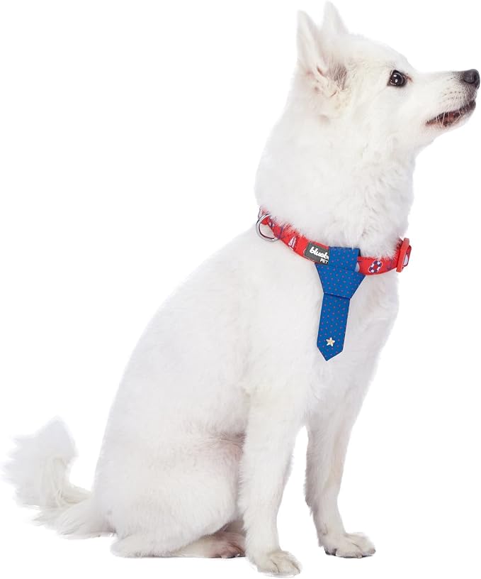 Blueberry Pet 4 Patterns Cardinal Red Nautical Sailboat Designer Adjustable Tie Dog Collar, Medium, Neck 14.5"-20"