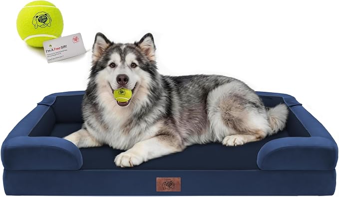 Waterproof Orthopedic Dog Bed for Extra Large Sized Dogs | Memory Foam Pet Bed Sofa with Bolster, Dog Couch with Washable Cover & Non-Slip Bottom, 48x30 Inch, royal blue