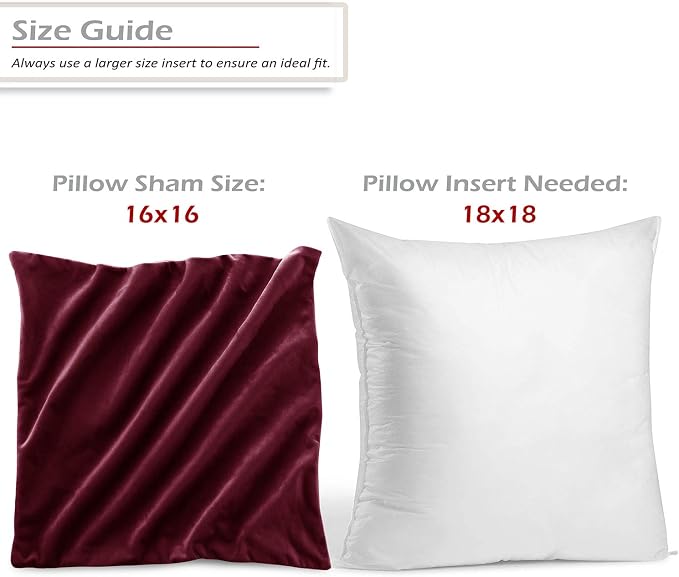 Throw Pillow Inserts Pack of 2 with Velvet Soft Solid Decorative Square Throw Pillow Covers Set for Sofa Couch Car Bedroom, 18X18 Throw Pillows Inserts with 16x16 Washable Cushion Covers, Burgundy Red