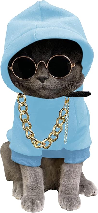3Pcs Dog Hoodie Cat Apparel Dog Custume Set with Necklace and Sunglasses Pet Clothes for Puppy Small Medium Dogs Cats Light Blue X-Small