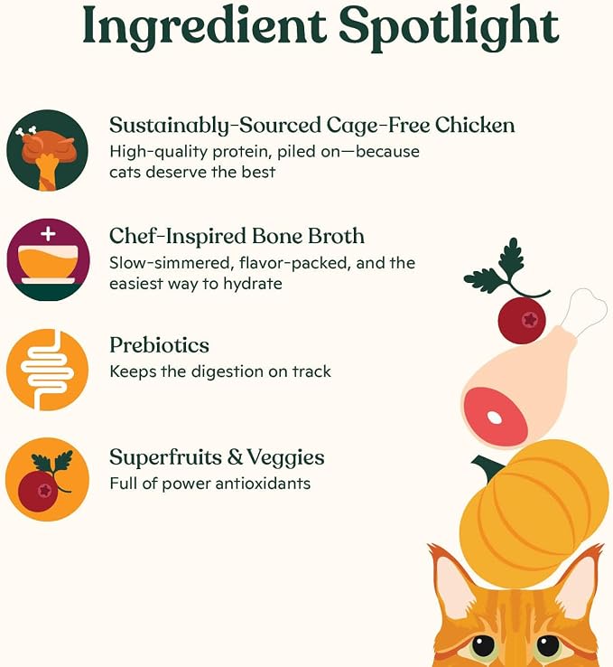 Made by Nacho Dry Cat Kibble 11lb Bag, High Protein and Grain-Friendly Premium Cat Food, Cage-Free Chicken & Pumpkin Recipe, Infused with Bone Broth for Hydration, Limited Ingredients, Single Bag | Protein-forward dry cat food with premium ingredients ...