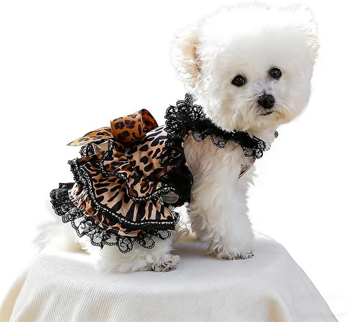 Dog Lace Leopard Print Dress Summer Autumn Cat Suspender Skirt, L | Small & Medium Pet Party Leopard formal Dress For Yorkie Maltese Chihuahua Pug Shih Tzu Toy Poodle French Bulldog