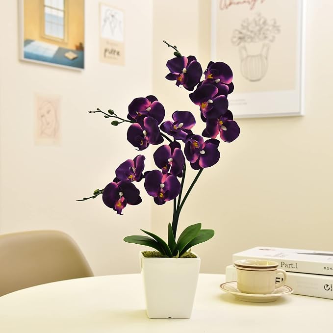 15" Silk Phalaenopsis Orchid in Square Pot, Dark Purple Flower Arrangements | Lifelike Faux Potted Blooms with Moss in a Ceramic Planter. Looks Real, Zero Upkeep, Ideal Centerpiece for Any Table