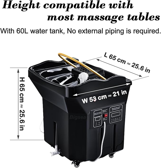 Bigsea Japanese Head Spa Equipment, Portable Head Spa Equipment Support 60L Water Storage and Preheating, Thermostatic Water Circulation Shampoo Basin, Enhance The Head Wash Experience