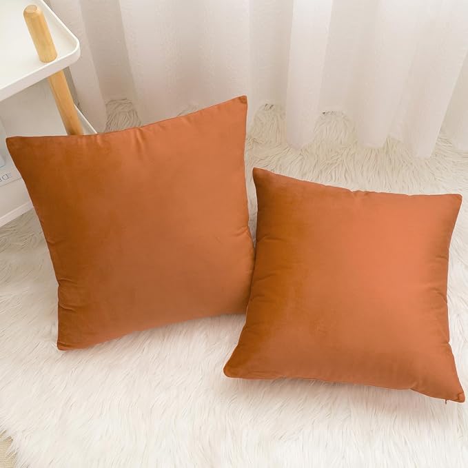 Velvet Decorative Fall Throw Pillow Covers, Soft Square Cushion Case Home Decor for Living Room Couch Bed Sofa, Set of 2 Pack, Burnt Orange, 18x18 Inch