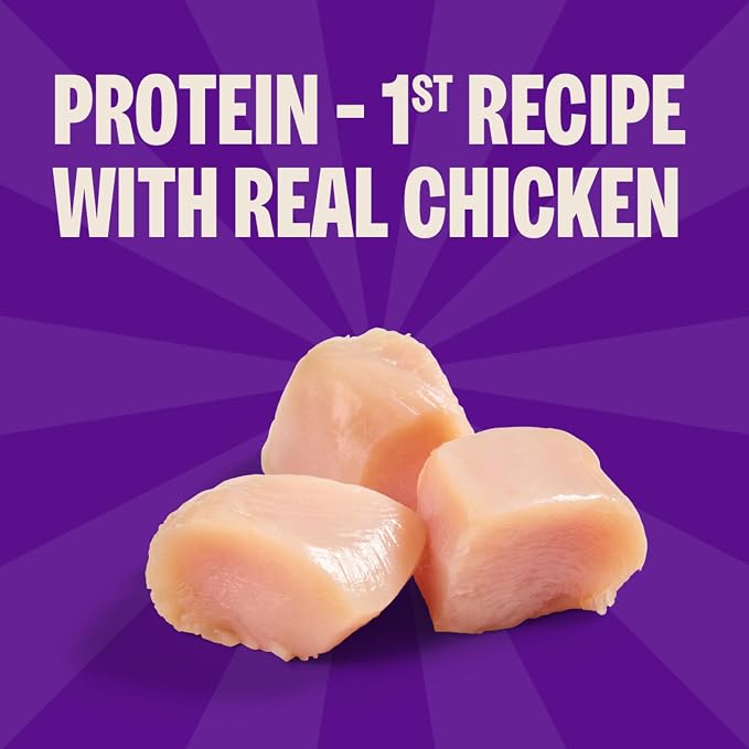 Wellness Rewarding Life Soft Dog Training Treats, Natural, Grain Free, Chicken and Lamb Recipe, 6 oz Bag