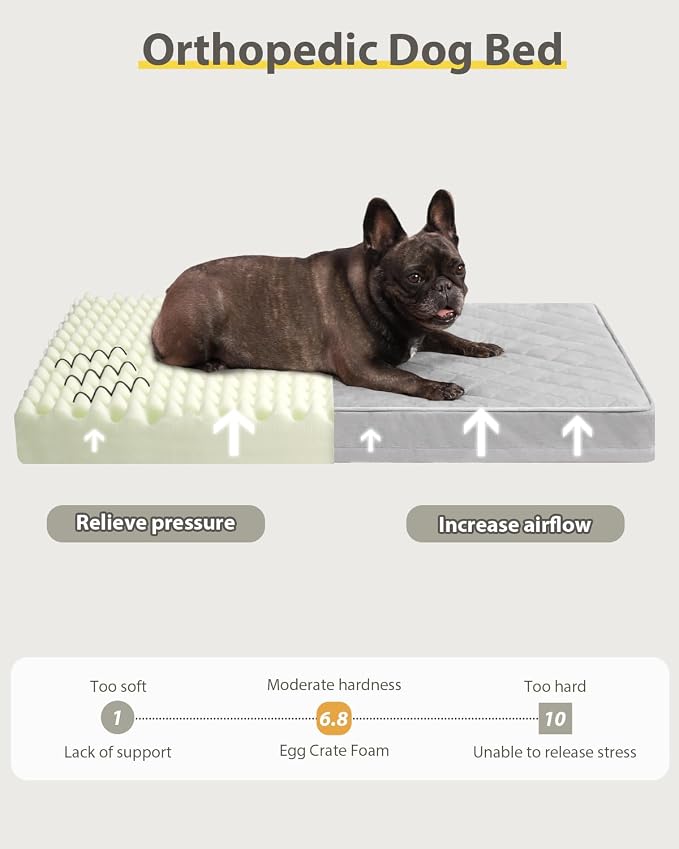 NUPIDA Orthopedic Medium Dog Bed for Crate with Washable Cover, 29x18 | Egg-Crate Foam, Cozy Velvet Pet Mattress, TPU Waterproof Layer, Flat Kennel Pad, Comfy Support, Non-Slip Bottom