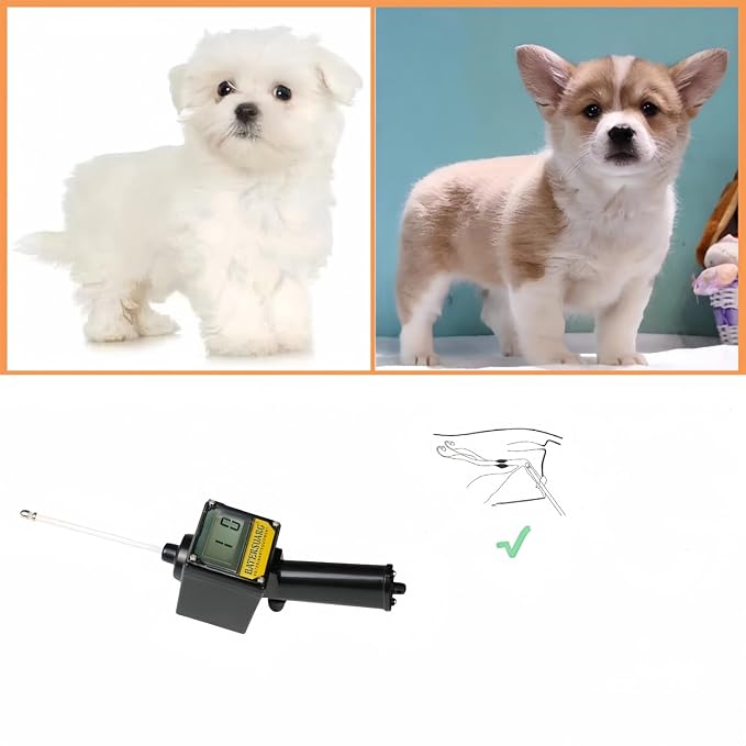 Dog Ovulation Detector with Detailed Manual, Pregnancy Test for Dogs at Home, Dog Progesterone Test Machine for Dog Pregnancy Planning Mating Testing, MF9-O1D-PJH324