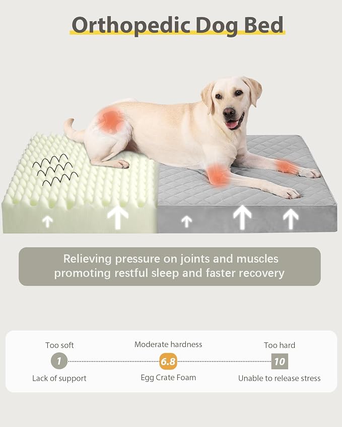 NUPIDA Orthopedic Large Dog Bed for Crate with Washable Cover, 35x22, Grey | Egg-Crate Foam, Cozy Velvet Pet Mattress, TPU Waterproof Layer, Flat Kennel Pad, Comfy Support, Non-Slip Bottom