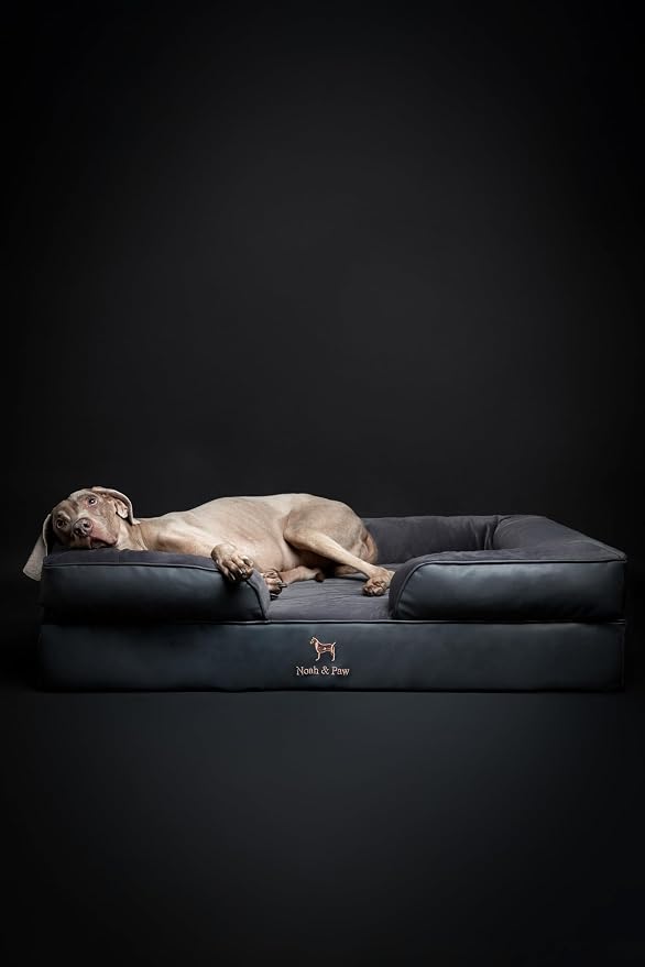 NOAH & PAW XL Dog Bed, 45x35x11 Inch, Orthopedic Large Dog Beds, Eggshell Memory Foam Infused with Cooling Gel, Inner Cover, Water Resistant, Machine Washable (Faux Leather)