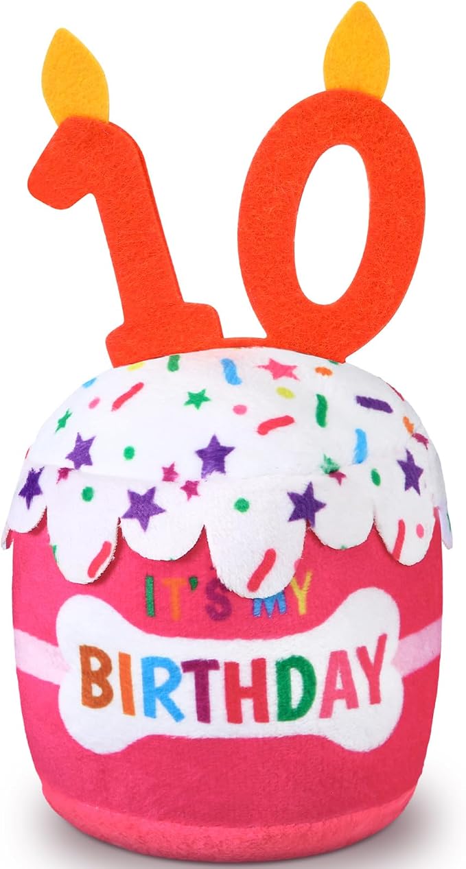 Dansydaisy Dog Birthday Cake Toy Squeaky Plush Gift,10th,Pink