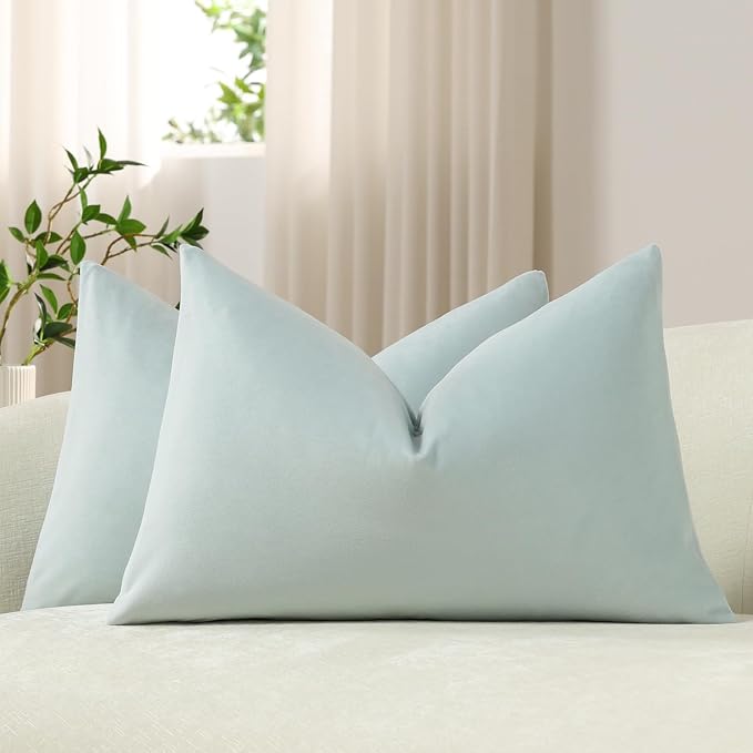 Lumbar Pillow Covers 12x20 Light-Blue: Pack of 2 Cozy Soft Velvet Rectangular Modern Luxury Decorative Throw Pillow Cases for Sofa Couch Living Room Bed Home Decor