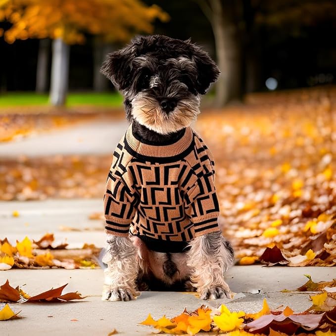 Dog Sweater for Small Dogs, Designer Dog Clothes, Luxury Furdi, Soft Knit | Designer dog clothes for small dogs with soft knit comfort, luxury styling and easy pullover fit for Yorkies in cold weather.