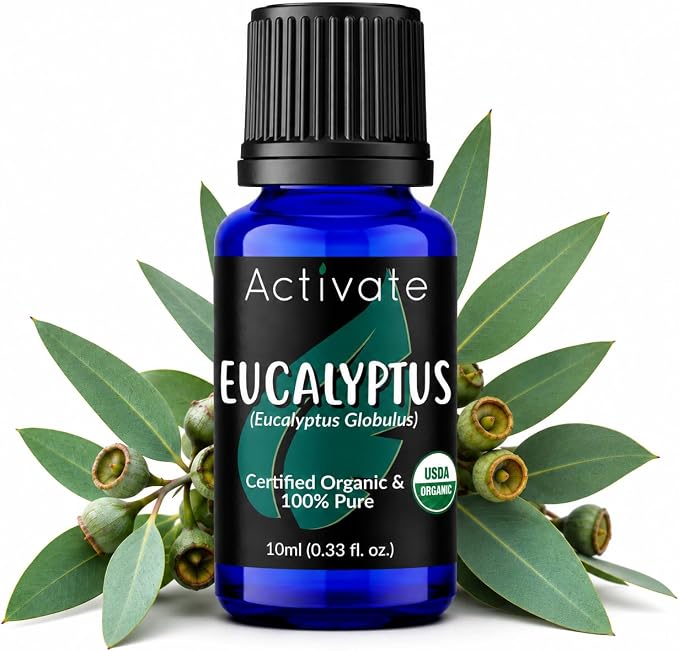 Eucalyptus Essential Oil Organic, USDA Organic, 100% Pure Eucalyptus Globulus, Steam Distilled Essential Oil for Aromatherapy, Diffuser, Massage, Humidifier & DIY Projects, 10ml
