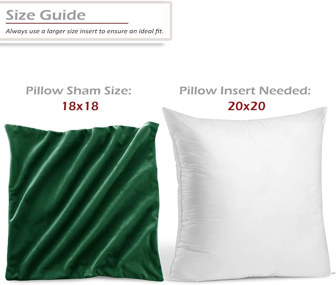 Throw Pillow Inserts Pack of 2 with Velvet Soft Solid Decorative Square Throw Pillow Covers Set for Sofa Couch Car Bedroom, 20X20 Throw Pillows Inserts with 18x18 Washable Cushion Covers, Hunter Green