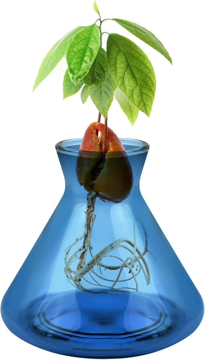1 PCS Avocado Seed Starter Vases, Avocado Tree Growing Kit Acorn Bulb Vase Grow Glass Avocados Pit Planter Pot Blue Hydroponics Container for Gardening Lover