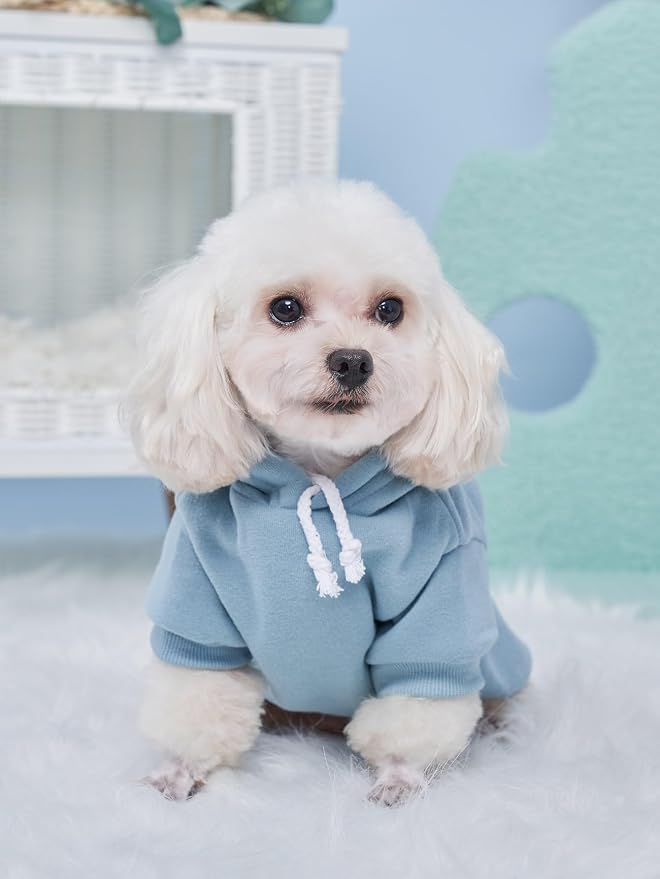 Basic Dog Hoodie Sweatshirt Puppy Sweater Warm Cat Costumes Pet Clothes for Chihuahua Puppy Kitten Small Medium Dogs Black Green and Grey X-Small