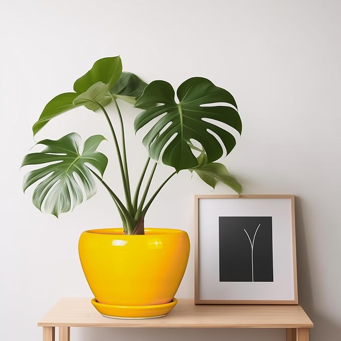 Ceramicfor Ceramic Pot for Plants - 6 Inch Plant Pot Glaze Modern Decorative Round Planter with Drainage Hole and Saucer for Home Patio Room Office House Decor, Yellow