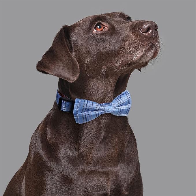 Dog Collar with Bow Tie for Girl or Boy Gift Soft Durable Bowtie Blue Tartan Plaid Small