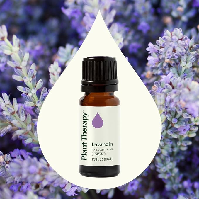 Plant Therapy Lavandin Essential Oil, 10 mL (1/3 oz), 100% Pure and Undiluted, Aromatherapy for Balance & Calm
