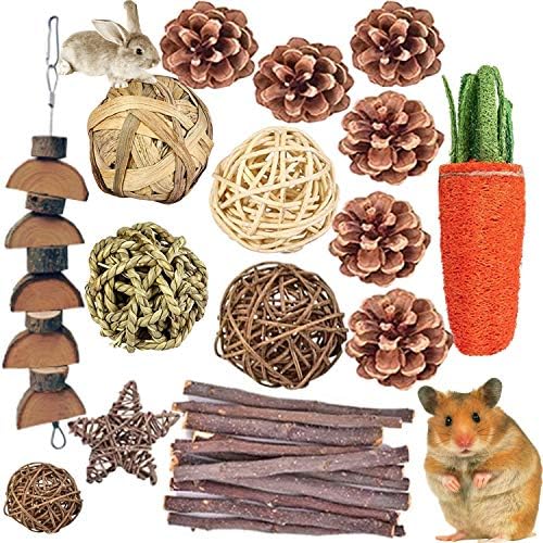 24PCS Hamster Chew Toys Set, Small Animal Teeth Grinding Molar Toys
