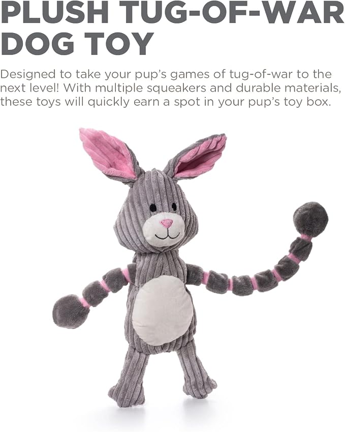 Outward Hound by Charming Pet Thunda Tugga Bunny Plush & Squeaky Dog Tug Toy
