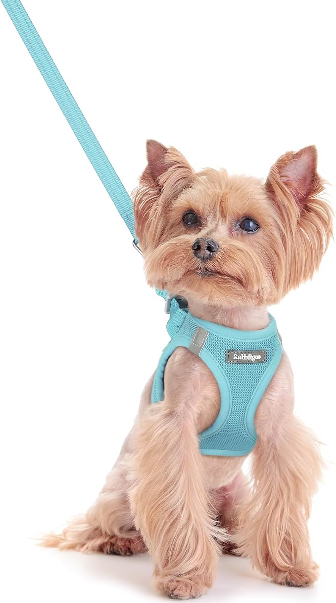 rabbitgoo Dog Harness Small Sized and Leash Set, Step-in Puppy Pet Vest | Light, Soft, Breathable Air Mesh, Easy on and Remove with Hook & Loop, Secure Reflective for Walking, Mint Blue XXS