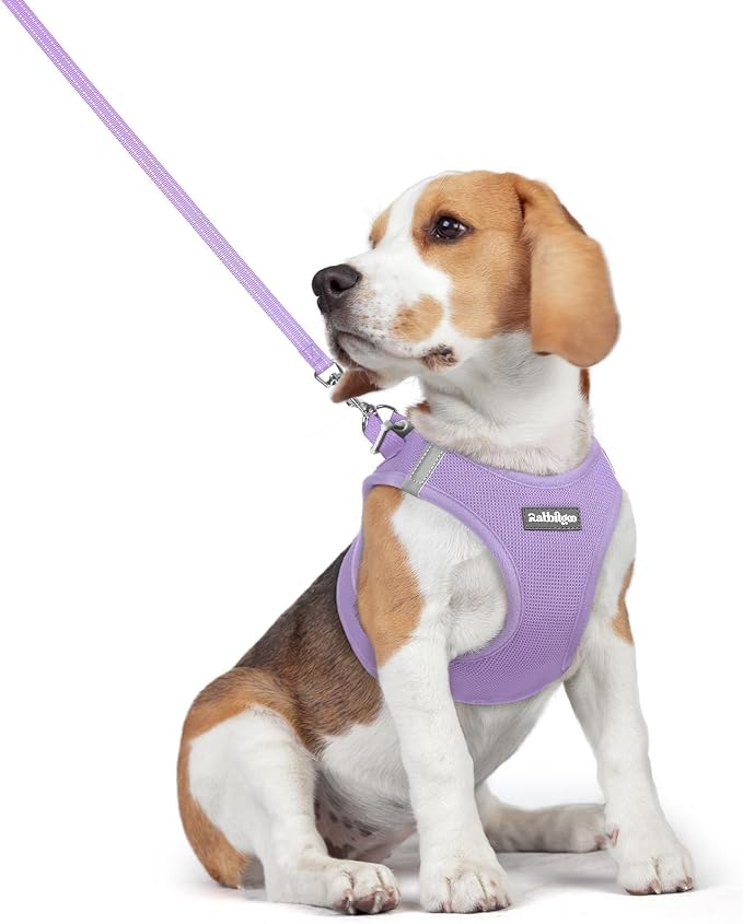 rabbitgoo Dog Harness Medium Sized and Leash Set, Step-in Puppy Pet Vest | Light, Soft, Breathable Air Mesh, Easy on and Remove with Hook & Loop, Secure Reflective for Walking, Light Purple L