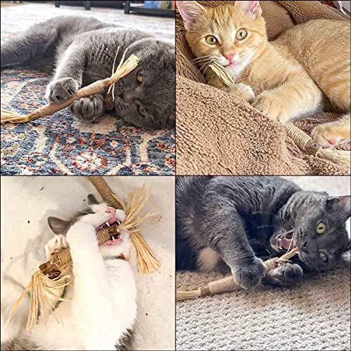 4 Pack Natural Silvervine Sticks for Cats - Chew Toys for Kittens Teeth Cleaning, Catnip Toy, Teething Stick - Interactive Kitten Toys for Indoor Cats Dental Care