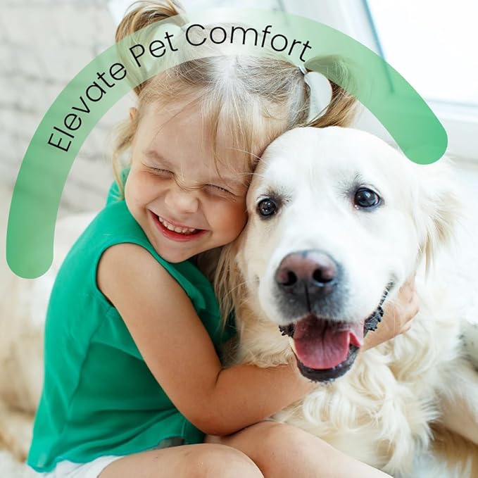 Best Shot Pet Scentament Spa Seasonal Facial & Body Wash, Berry Amaretto, 1 Gallon, Model: S55-Gallon