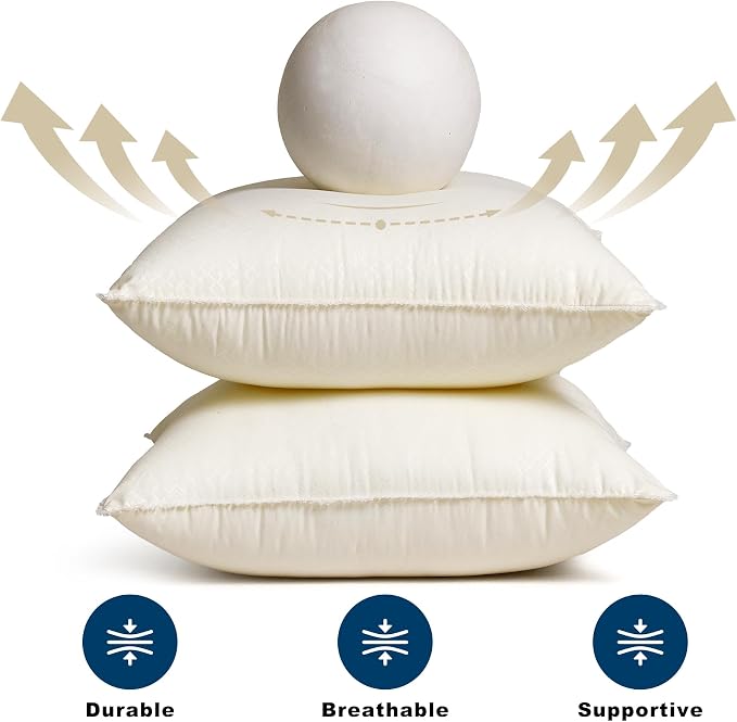 22 x 22 Throw Pillow Inserts with Lace Edge | Soft and Plush, Virgin Fiber Filling, Decorative Pillows for Couch Sofa Bed, Machine Washable - White, Pack of 2