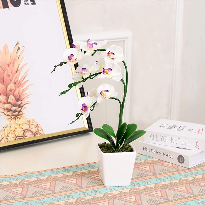 15" Silk Phalaenopsis Orchid in Square Pot, White Flower Plant Arrangements | Lifelike Faux Potted Blooms with Moss in a Ceramic Planter. Looks Real, Zero Upkeep, Ideal Centerpiece for Any Table